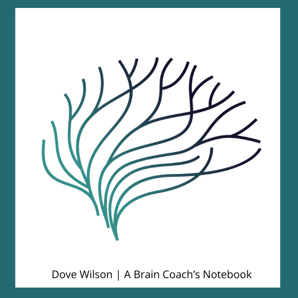 Dove Wilson | A Brain Coach's Notebook  logo