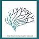 Dove Wilson | A Brain Coach's Notebook 