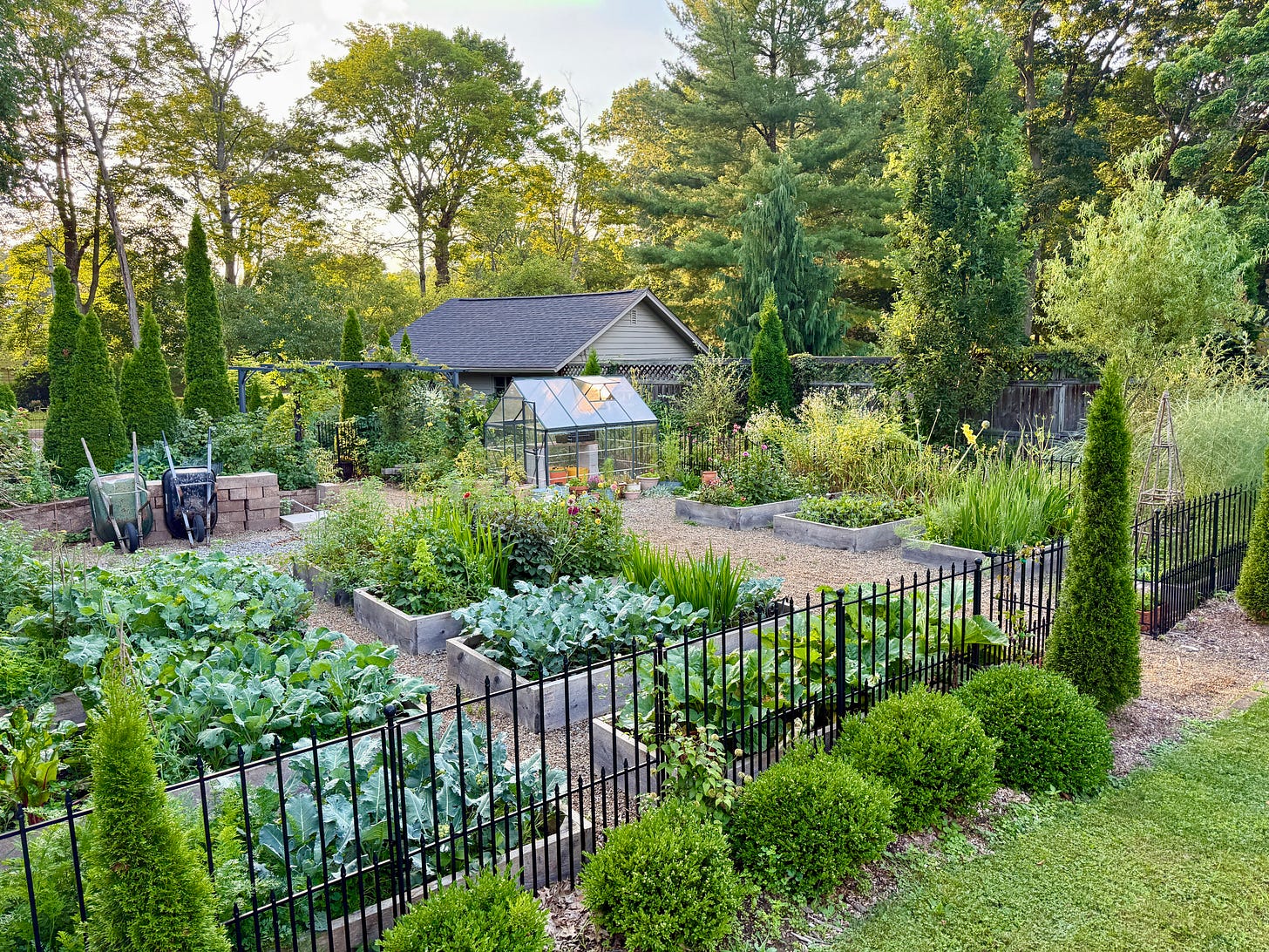 The Kitchen garden is still looking good even with some neglect this month.