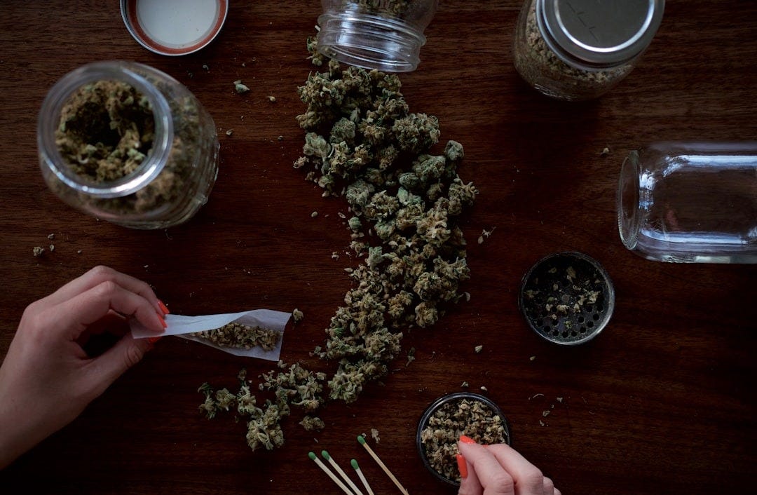 person holding paper on kush