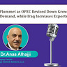 Energy Outlook Advisors' Newsletter