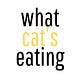 What Cat’s Eating