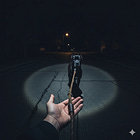 192 The Leash and the Light