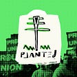 PLANTED!'s avatar
