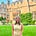 Lizzie Irwin's avatar