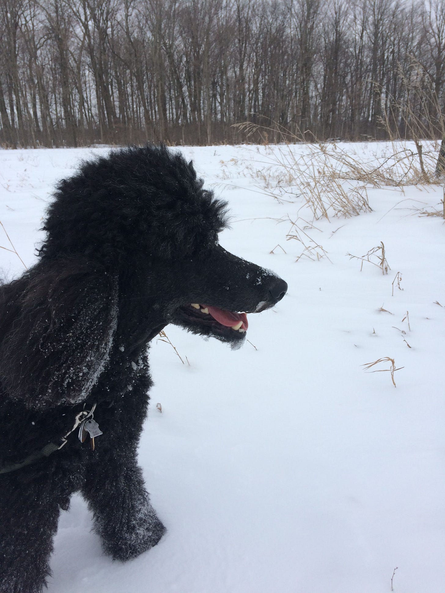 blogfeb4