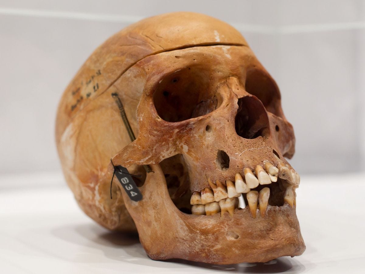 There Was Injustice': Skulls of Colonial Victims Returned to ...