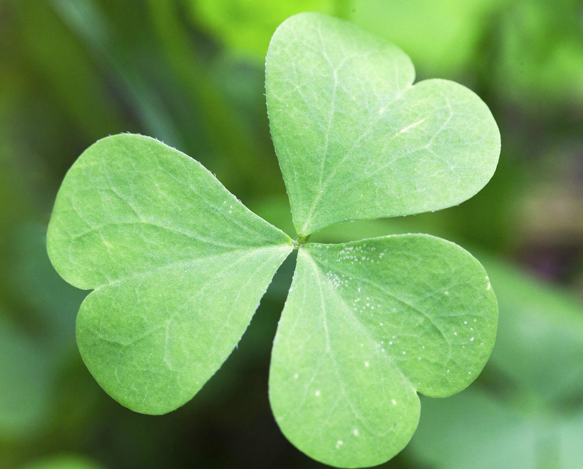 Symbolic Shamrock Meaning on Whats-Your-Sign.com