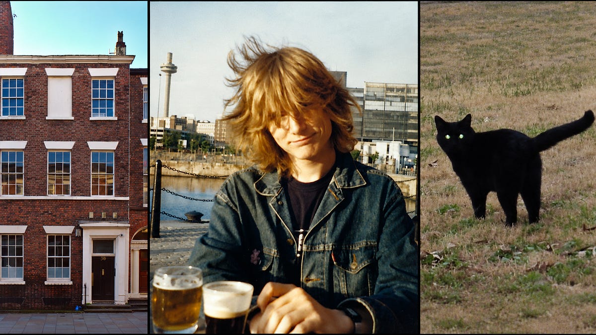 Chapter 12: The Confrontation and the Cat
