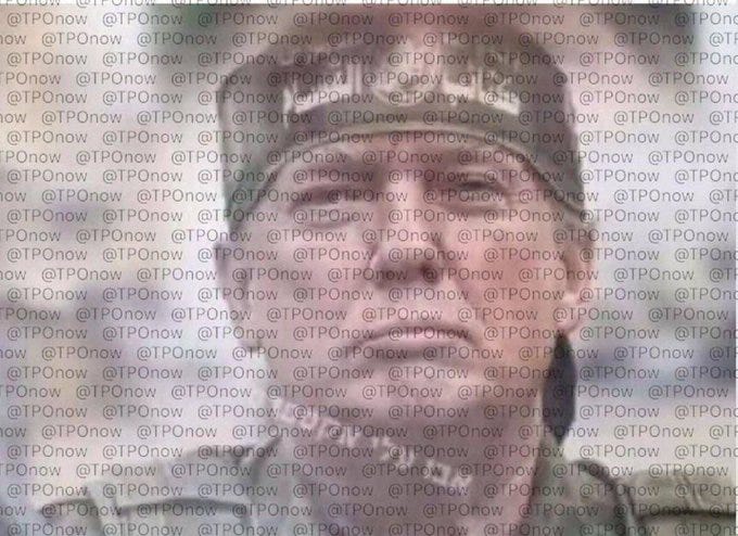 A photo of Donald Trump overlaid with repeated text reading "@TPONow" across the image.