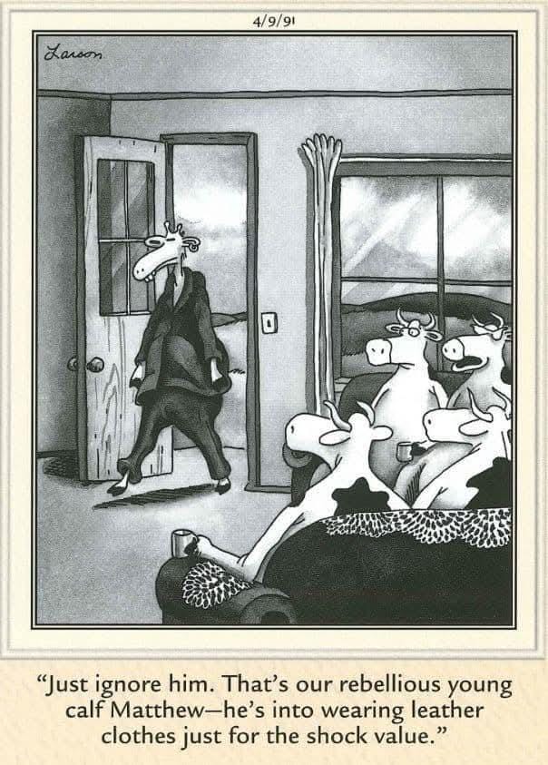 r/TheFarSide - Larson 4/9/91 "Just ignore him. That's our rebellious young calf Matthew-he's into wearing leather clothes just for the shock value."