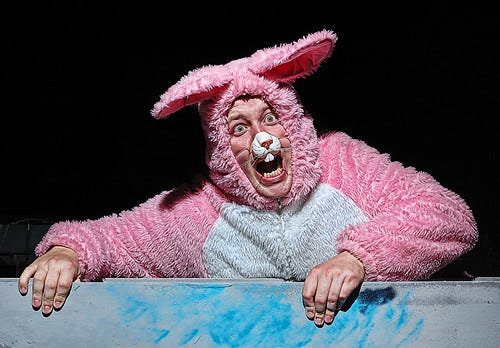 Scared rabbit Scared rabbit