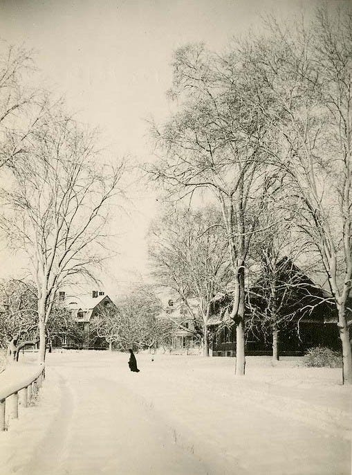 Black-and-white photograph of a snow-covered residential street in Cambridge, Massachusetts, 1892. Bare trees line the road, wooden houses sit on either side, and a single figure walks in the distance through deep snow.
