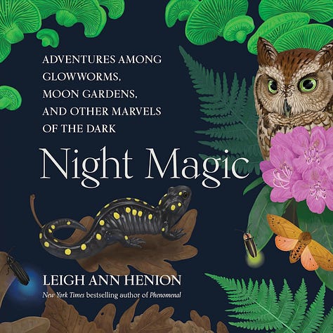 graphic of King of Ashes, Night Magic, Murder at Gulls Nest