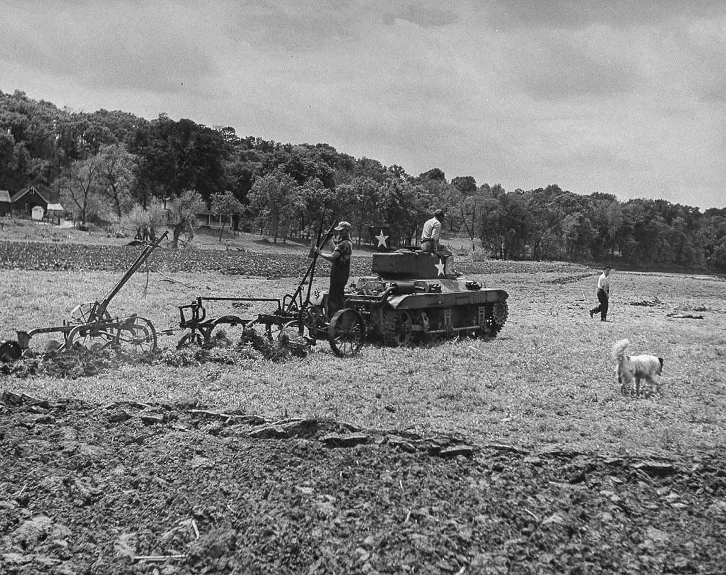 Demonstrating ingenuity, an American tank has found new purpose as a farm tractor after the war. Demonstrating ingenuity, an American tank has found new purpose as a farm tractor after the war.