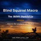 The 🐿️'s BUSHY™ Portfolio x Plutus