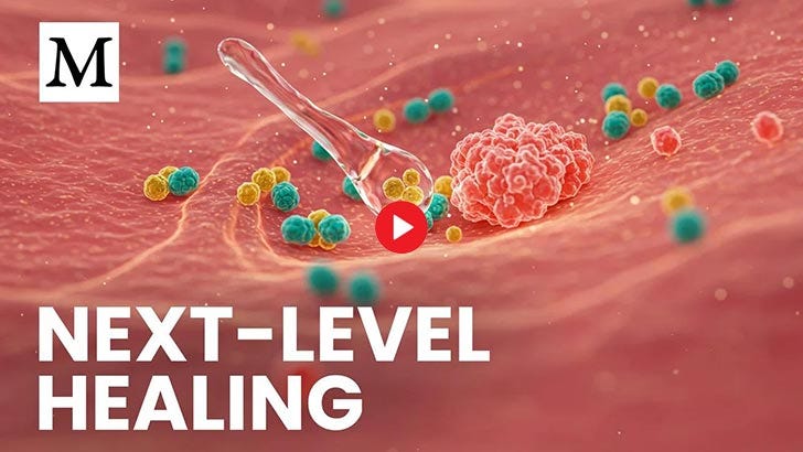 next level healing next level healing
