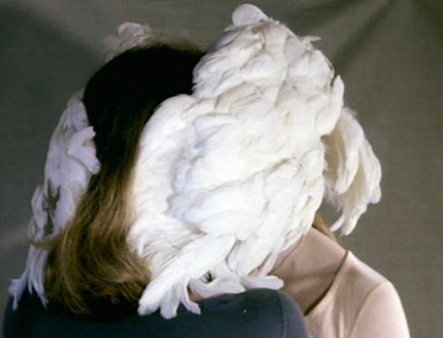 Cockatoo1LG