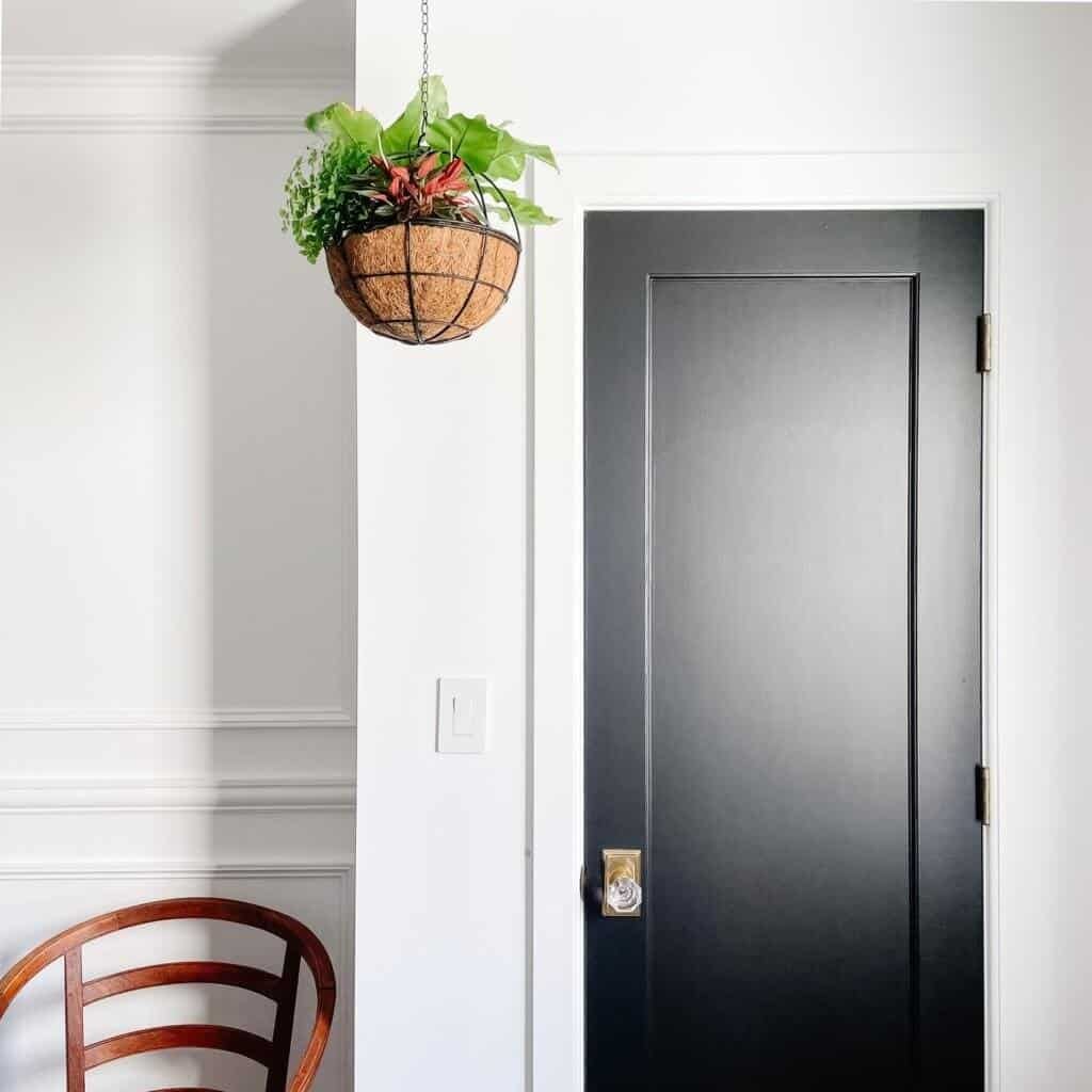 indoor plant care 136 homes plants hangin in a basket next to a black door. indoor plant care 136 homes plants hangin in a basket next to a black door.