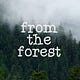 From the Forest