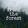 From the Forest
