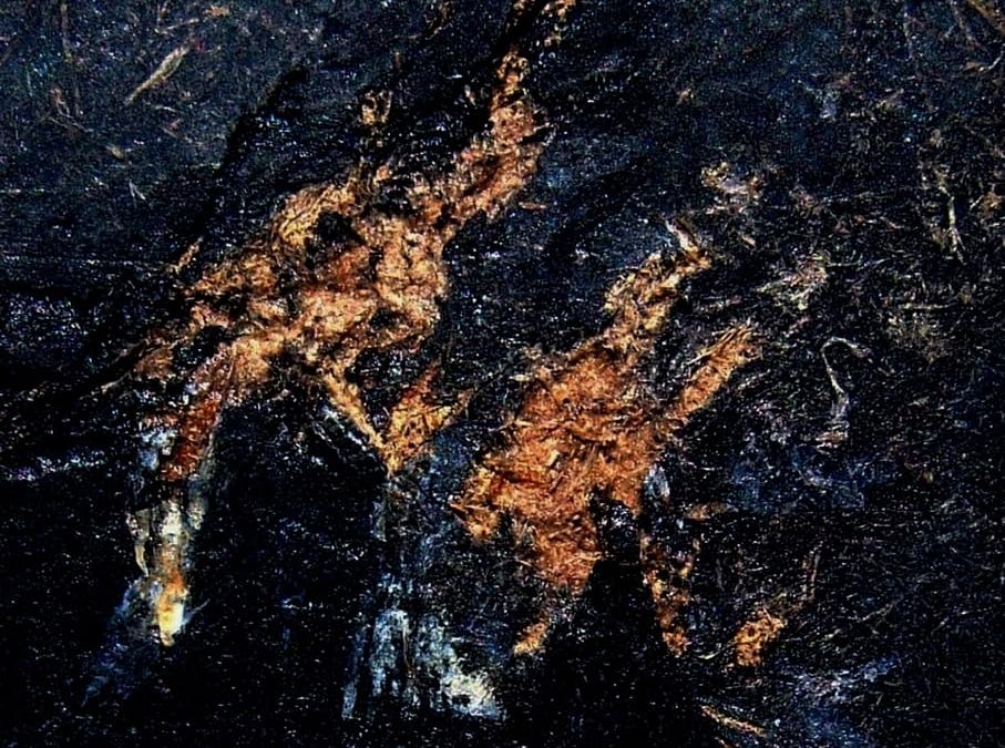 barsoom.substack.com