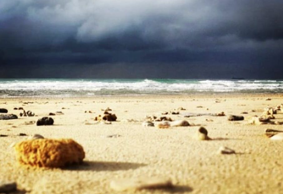Image by Eli Goldstein