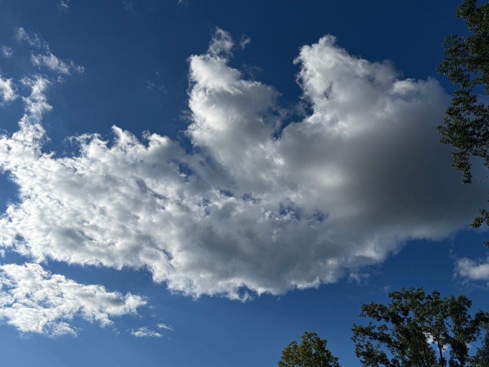 A summer cloud. A summer cloud.