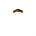 Lands Of Haram Services's avatar
