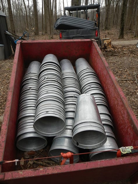 Collecting, cleaning and drying sap buckets