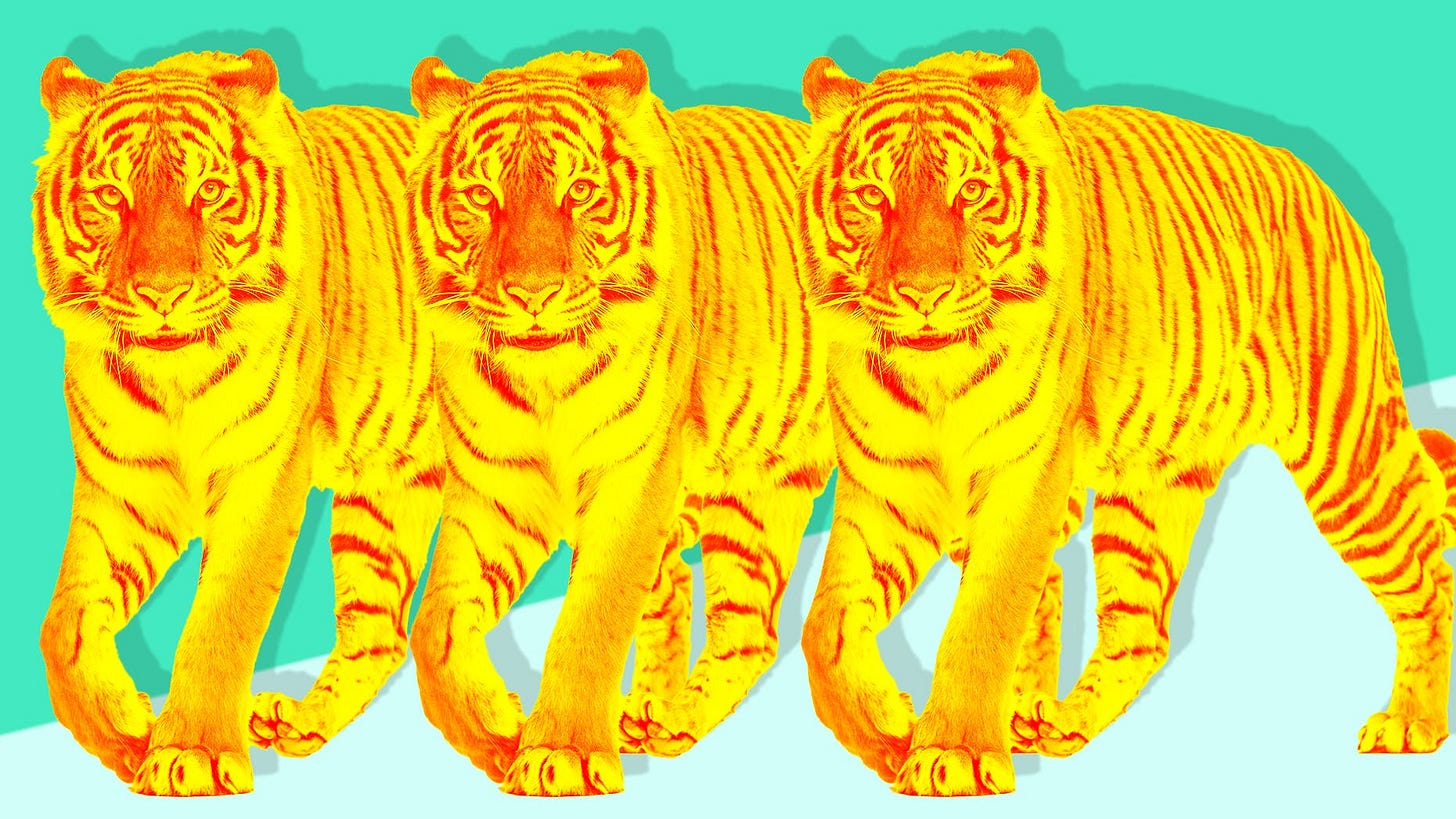 Tiger Global Investor Relations Staff Depart After Fundraising Challenges