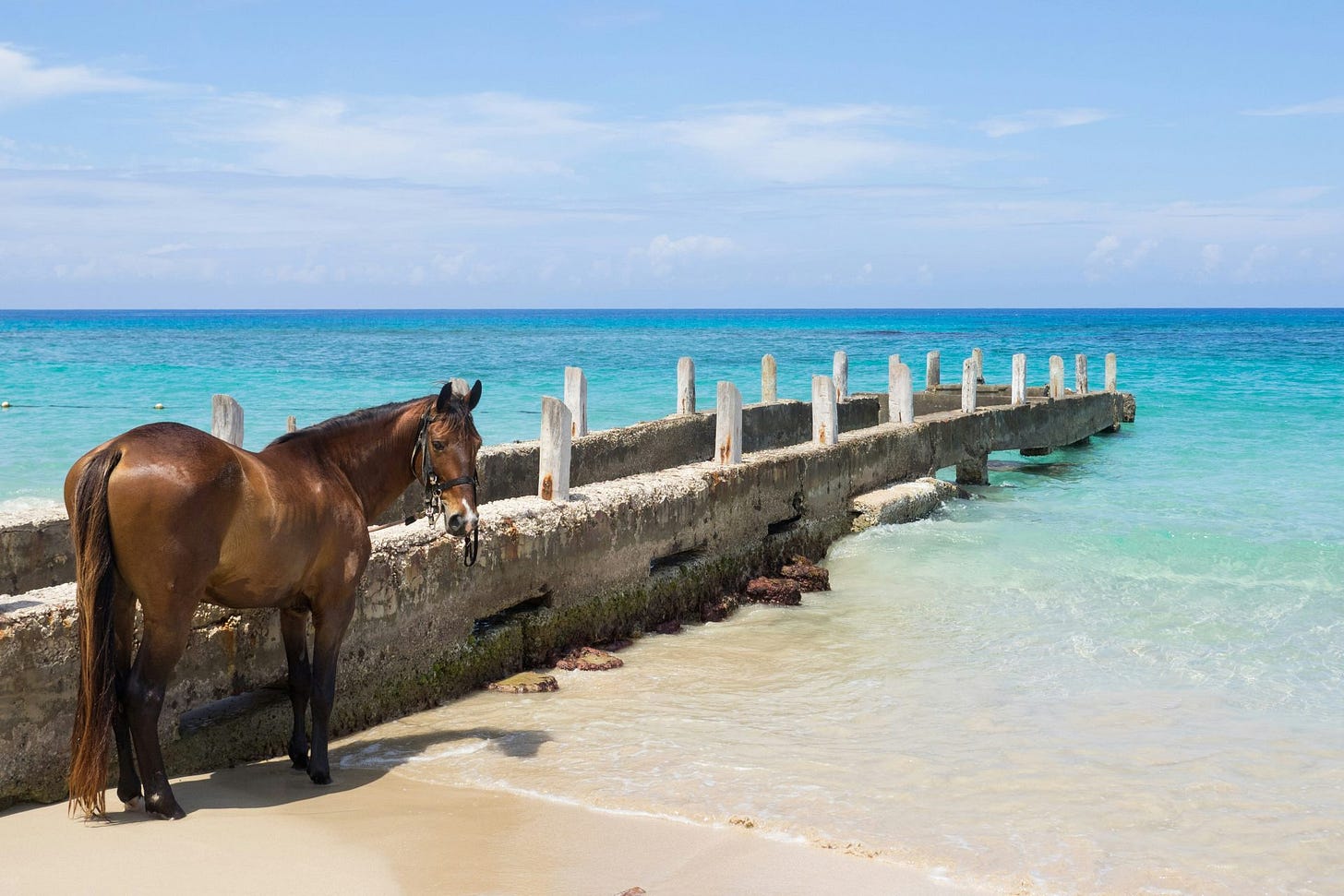 A Practical Guide to the Way of Life in Jamaica