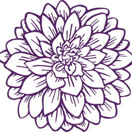 Bear Creek Farm Substack