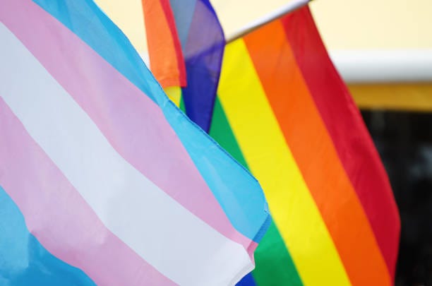 3,500+ Pride And Transgender Flag Stock Photos, Pictures & Royalty-Free  Images - iStock