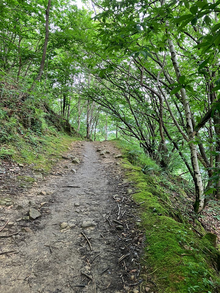 photographs of dirt and flagstone paths through green foliage