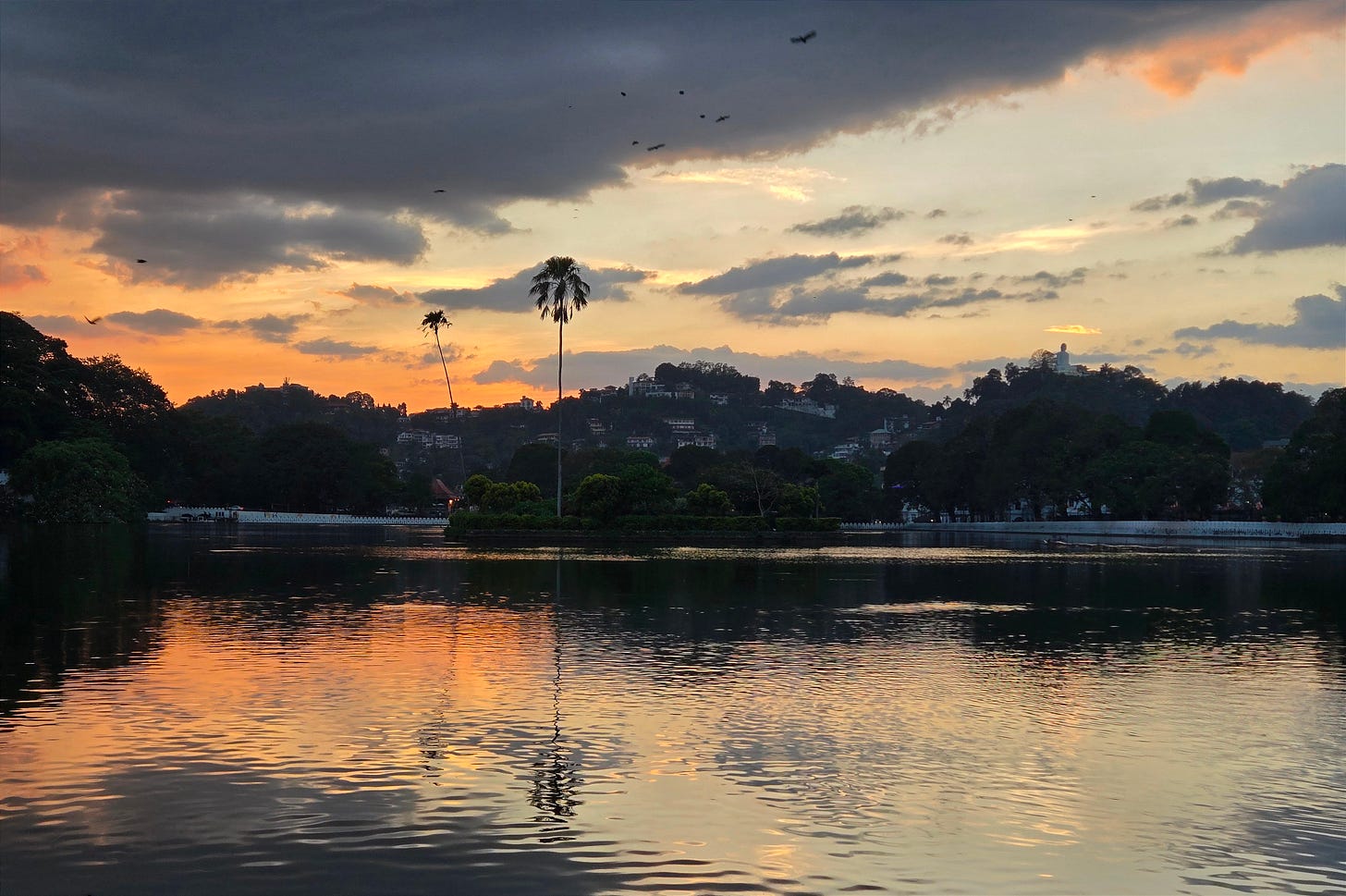 Sunset over Kandy Lake with a single palm tree silhouetted against the sky, forested hills and a white Buddha statue visible on the ridgeline above the city. Sunset over Kandy Lake with a single palm tree silhouetted against the sky, forested hills and a white Buddha statue visible on the ridgeline above the city.
