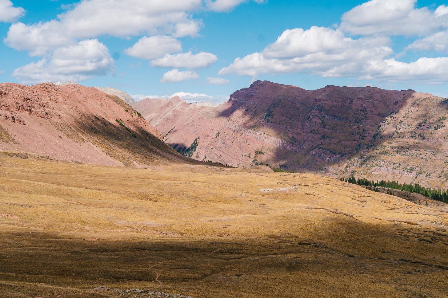 A photo in this story A photo in this story