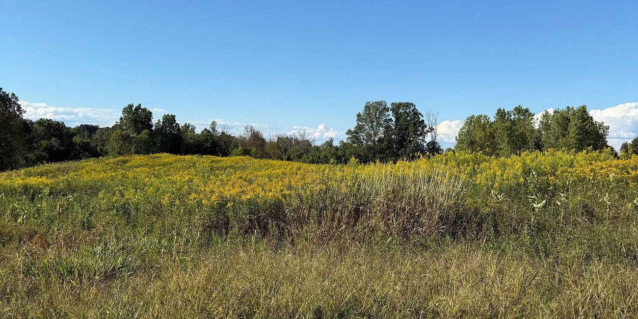 For complete beginners: how to buy land if you never have before