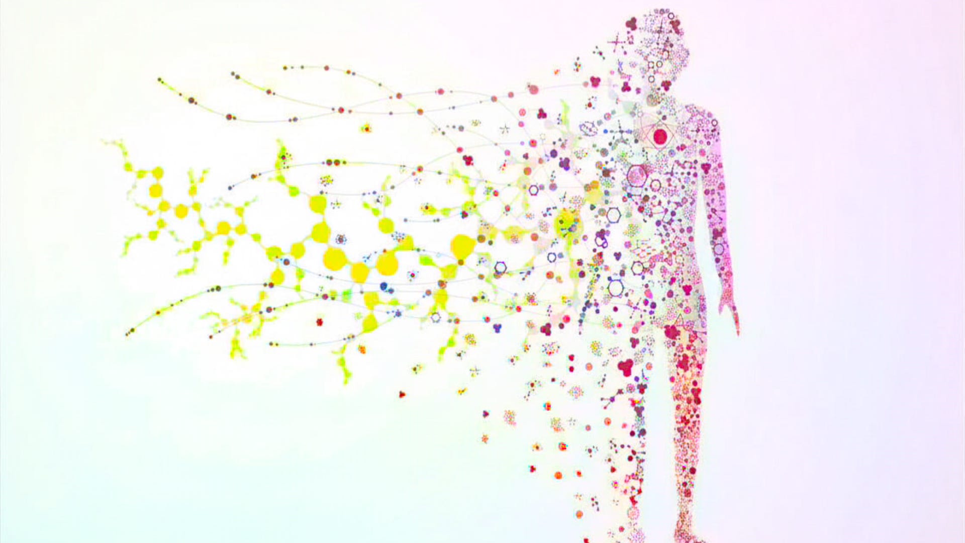 330 Billion Cells a Day: Your Body's Internal Renewal Process and What ...