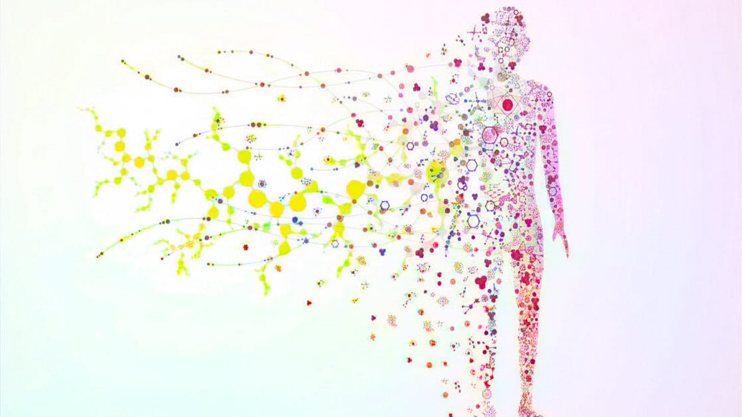 330 Billion Cells a Day: Your Body's Internal Renewal Process and What ...