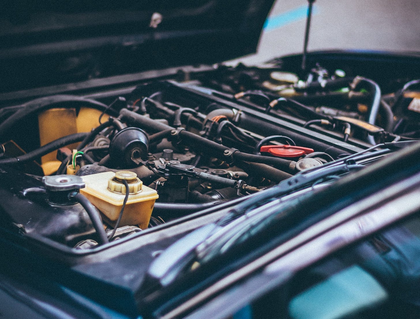 Photo by George Sultan