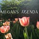 Megan’s Agenda