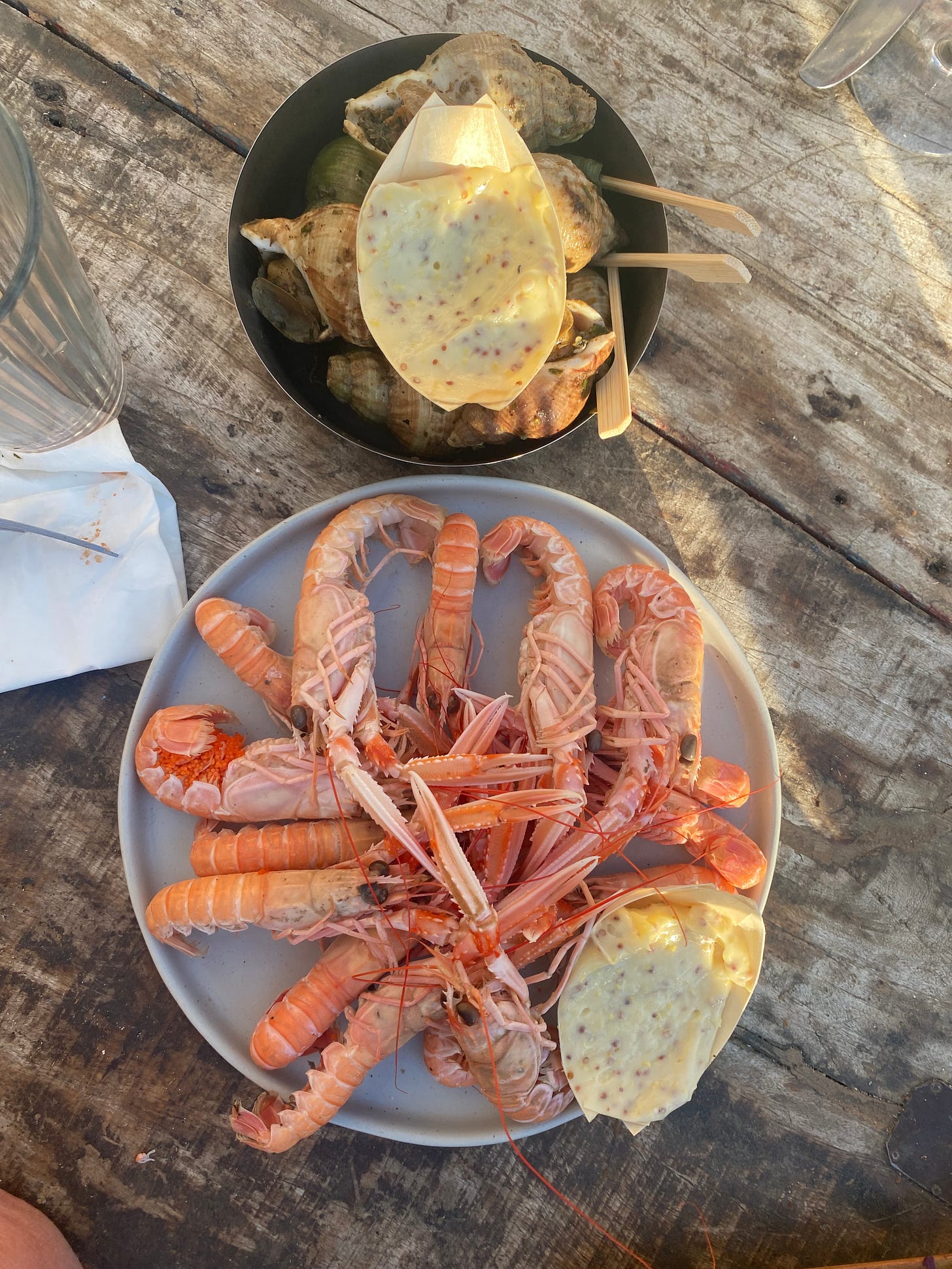 langoustine-kalypso-lancieux
