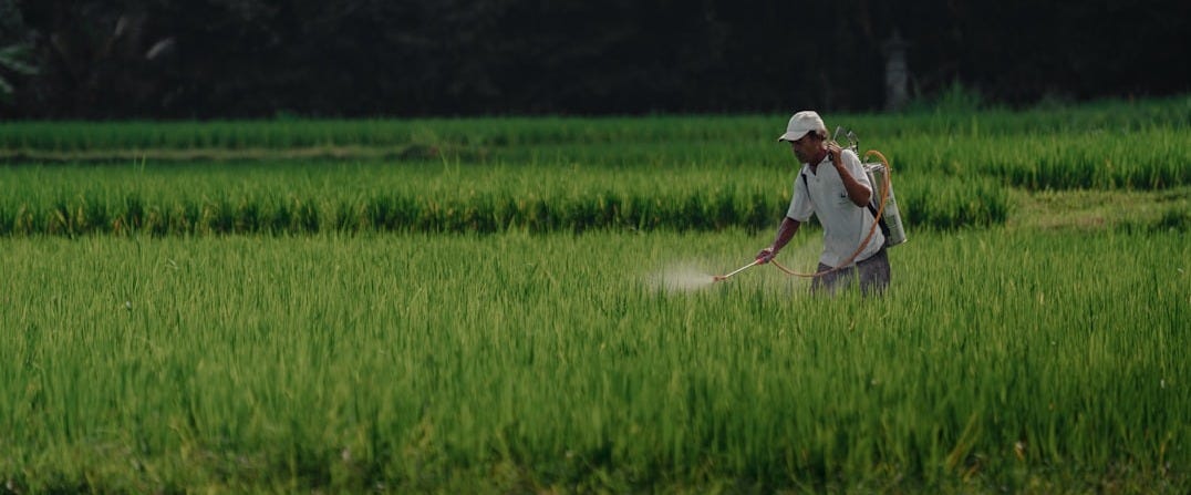 a man in a field spraying pest from a sprayer a man in a field spraying pest from a sprayer