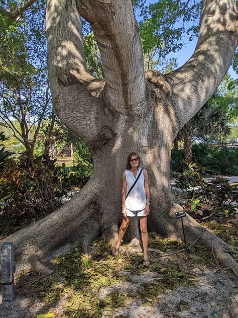 Rooted: Pics of tree and weed roots