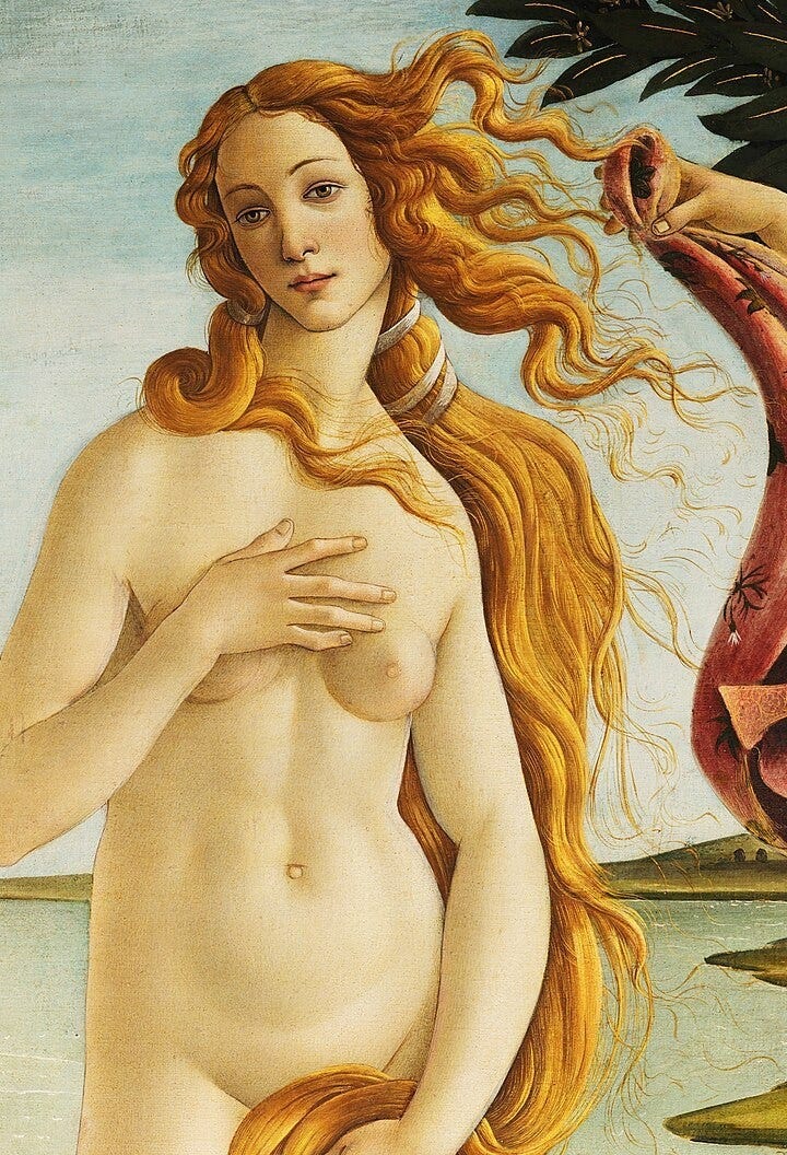 Detail of the head and golden hair of Venus