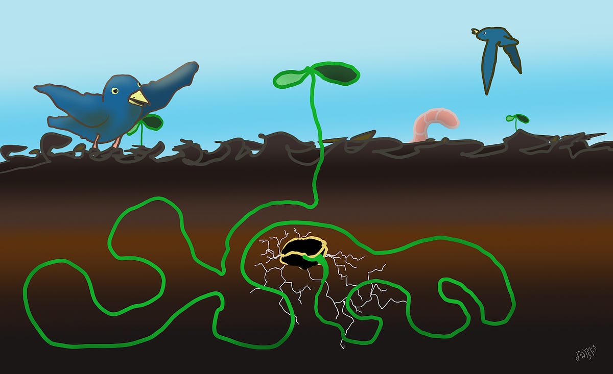 A color cartoon of a cutaway view of a seed sprouting underground. It has put out some thin spindly roots, while a long green shoot meanders around back and forth before finally emerging above the soil. In the background there is a blue bird landing on the ground, another flying away in the blue sky, two other sprouts, and a pinkish worm. Art by Doodleslice 2025