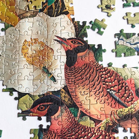 Paperblanks Moon Garden Jigsaw Puzzle