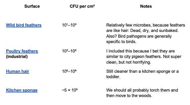 Chart: Surface  CFU per cm²  Notes  Wild bird feathers  10¹–10³  Relatively few microbes, because feathers are like hair: Dead, dry, and sun-baked. Also? Bird pathogens are generally specific to birds.  Poultry feathers (industrial)  10³–10⁵  I included this because I bet they are similar to city pigeon feathers. Not super clean, but not horrifying.  Human hair  10⁵–10⁶  Still cleaner than a kitchen sponge or a toddler.  Kitchen sponge  ~5 × 10⁹  We should all probably torch them and then move to the woods.