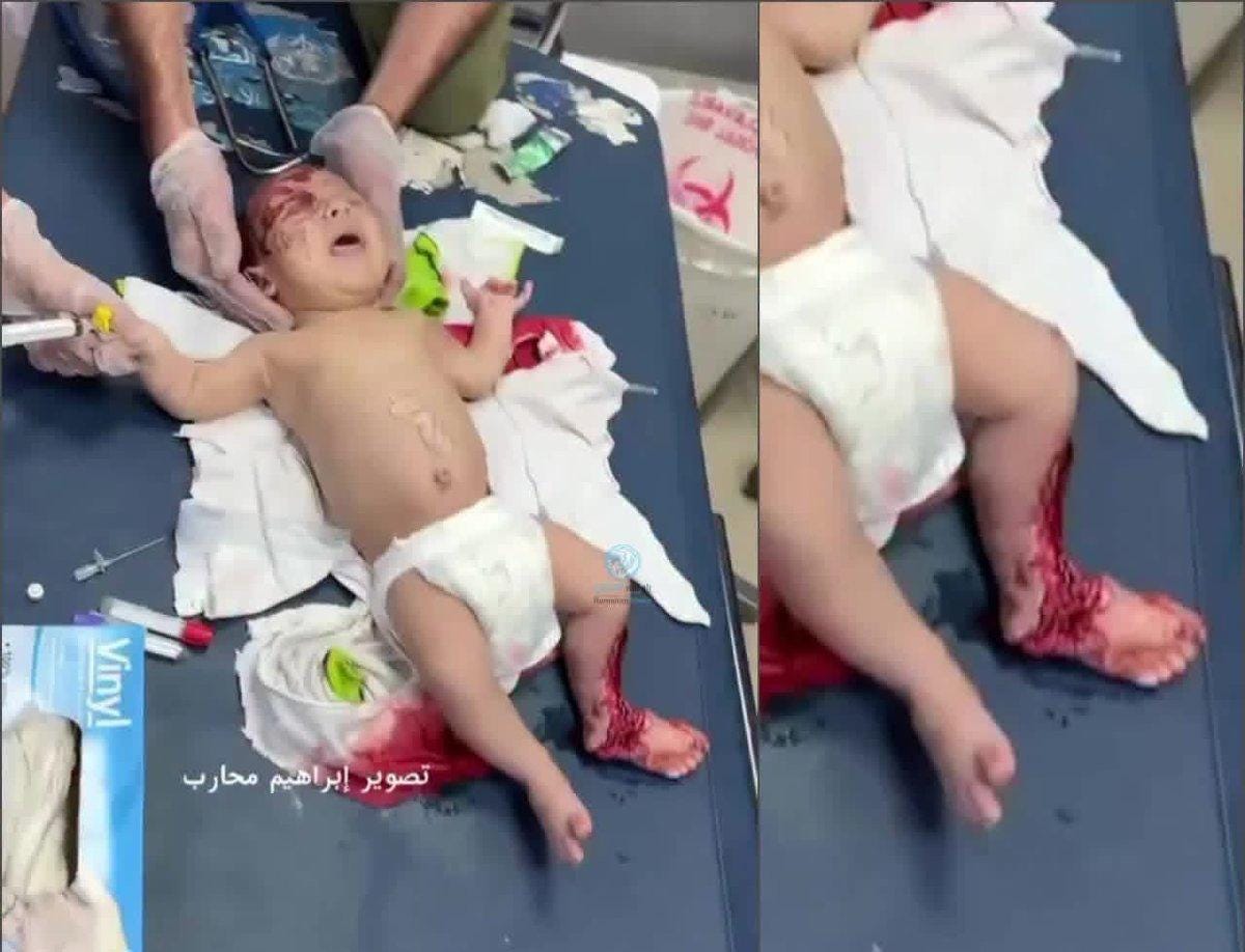Israelis accelerate killings in Gaza as genocide survivors mark Eid al-Adha- Palestine Will Be Free Israelis accelerate killings in Gaza as genocide survivors mark Eid al-Adha- Palestine Will Be Free
